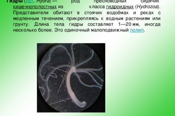 Почему не заходит на кракен