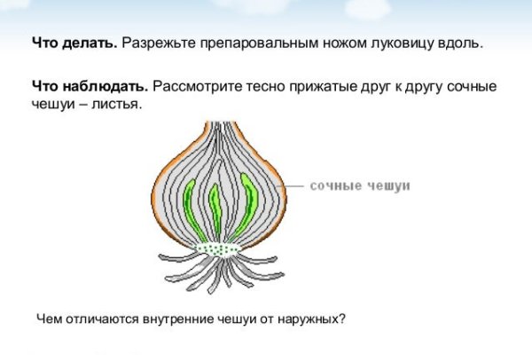 Кракен найдется все