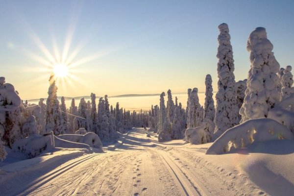 Сайт кракен через тор