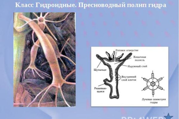 Kraken адрес onion